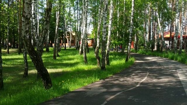 Парк «Ёлочки» в Домодедово смотреть онлайн