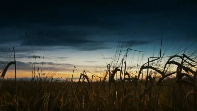 Тютчев.Напрасный труд.Славянам. смотреть онлайн