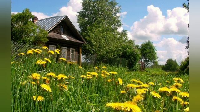 Депрессия/Причины, характеристики, лечение/Как лечить депрессию #удивительнаяистория #добраяистория смотреть онлайн