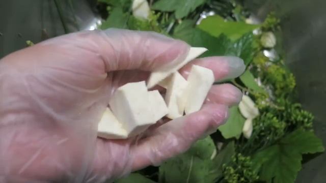 Солим огурчики смотреть онлайн