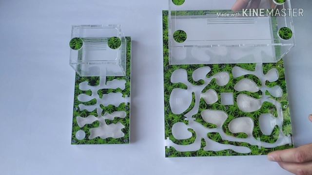 Как выбрать муравьиную ферму. Чем отличаются муравьиные фермы. смотреть онлайн