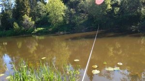 ?cralusso surf. кормление. ?контроль оснастки. управление оснасткой. болонский поплавок. поплавок