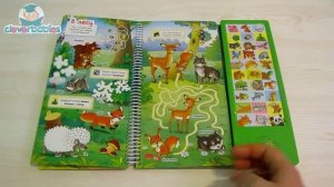 Азбукварик. Про животных. Видео-обзор