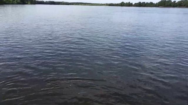 Троллинг щуки и судака на Волге. Успешная рыбалка и отпускание рыбы смотреть онлайн