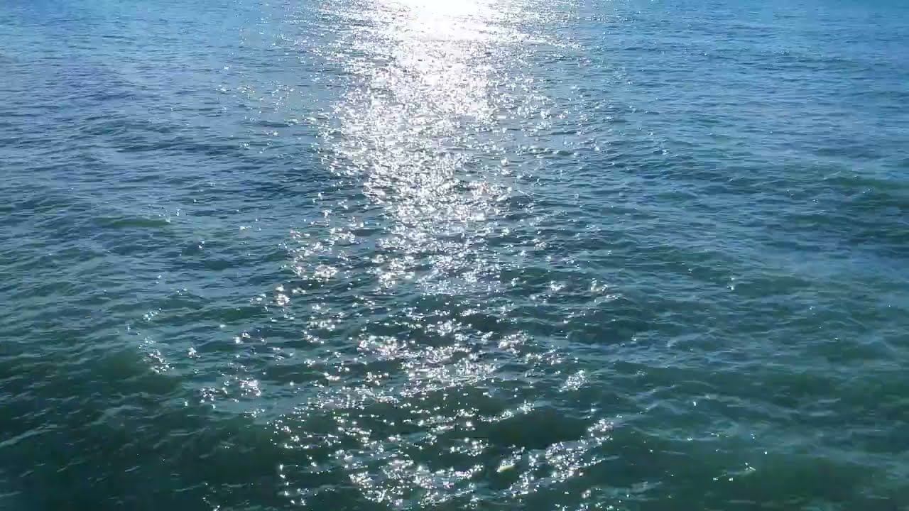 The sound of a Calm Sea on a City Beach смотреть онлайн