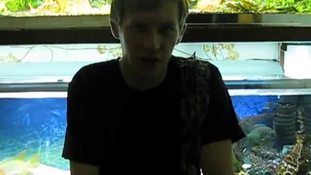 Как не нужно делать смотреть онлайн