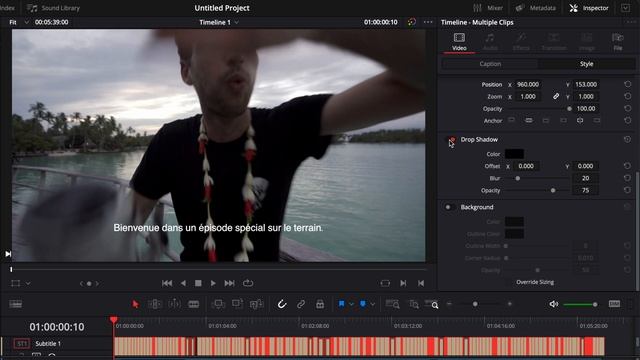 Import SRT File in Davinci Resolve (Subtitles) смотреть онлайн
