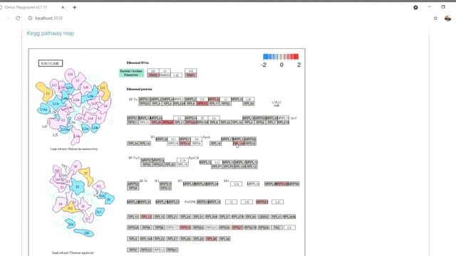 Enrichment Analysis | Omics Playground (video tutorial 5) смотреть онлайн
