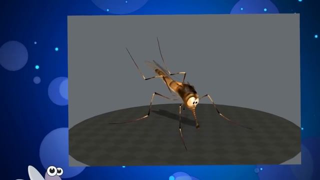 Могут ли комары выпить всю кровь человека? смотреть онлайн