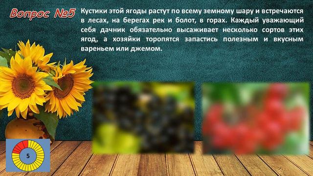 9 ДЕТСКАЯ Ягодная викторина смотреть онлайн