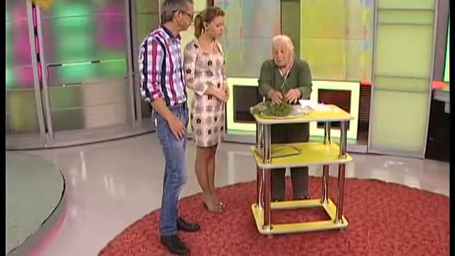 Мокрица полезный сорняк для красоты и здоровья смотреть онлайн