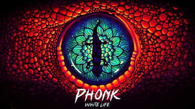 Phonk Music Mix ※ DISSECTION ☠️ ※ Aggressive Drift Phonk ( фонк - Phonk House 2023 ) смотреть онлайн