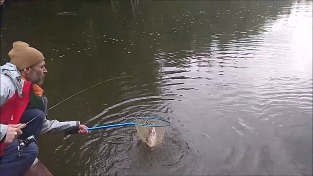 На спорт-зоне всё без изменений. Ставим 02 цвет и ловим форель. Клёвое место, Лосиный остров. смотреть онлайн