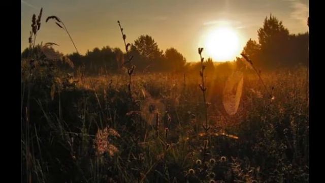 Зялёны дубочак Міхась Забэйда-Суміцкі / Green Oak / Belarusian song смотреть онлайн