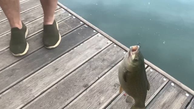 Кладоискатели проехали 3000 км, чтобы вручить утерянную медаль ветерану ВОВ,но что-то пошло не так.