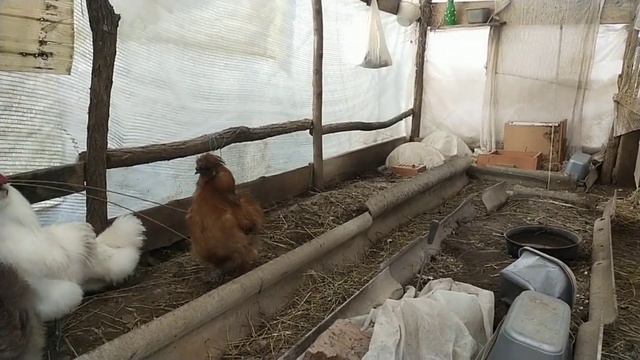 а мне реально очень грустно😭 смотреть онлайн