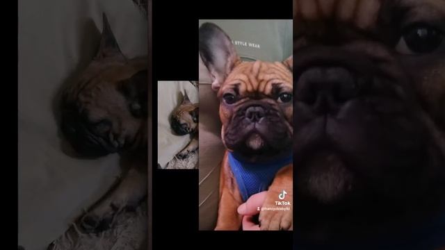 символ богатства смотреть онлайн