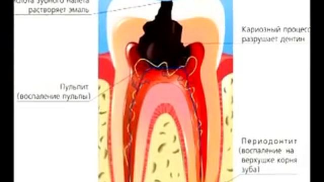 Стоматологический кабинет «Дентал» в Орле смотреть онлайн