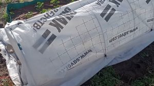 Капельный полив для роз. Сборная система от водопровода.