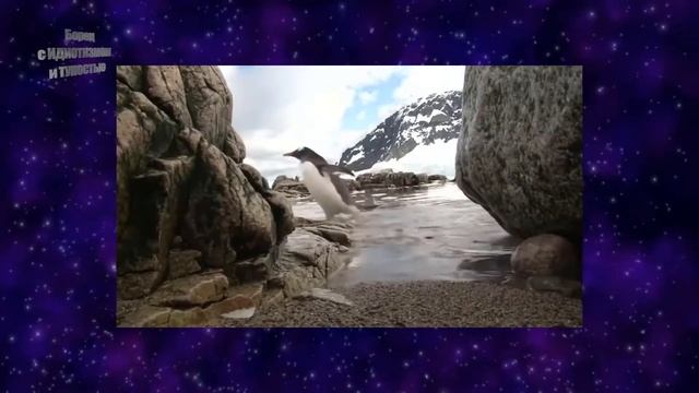 Тур по МКС и "Что это в Антарктиде?" смотреть онлайн