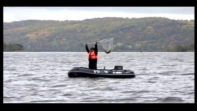 Ловля на крупные воблеры FishyCat. Часть 2