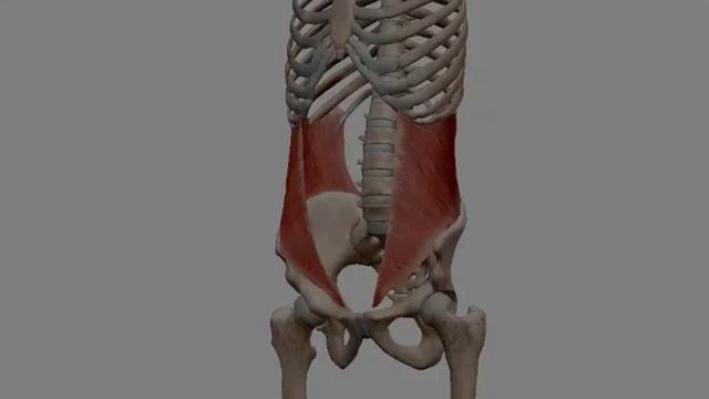 Как убрать живот.Если спорт не помогает.Как осанка влияет на живот. смотреть онлайн