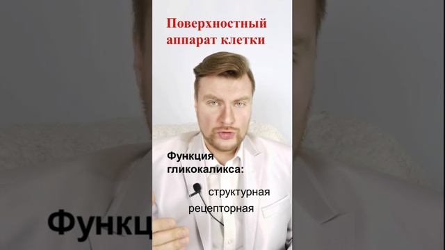 Поверхностный аппарат клетки. ЕГЭ Биология. ЕГЭ 2022. смотреть онлайн