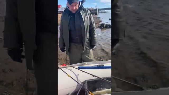 Смешной улов. Морская рыбалка)) смотреть онлайн