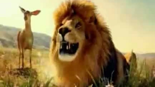 Le chant des animaux смотреть онлайн