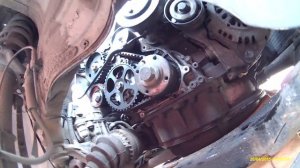 Замена ремня ГРМ Опель астра Н 1,7 СДТИ