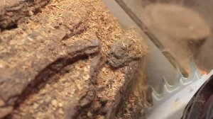 Сравнительный видеообзор пил STIHL MSE 210C и MSA 200C