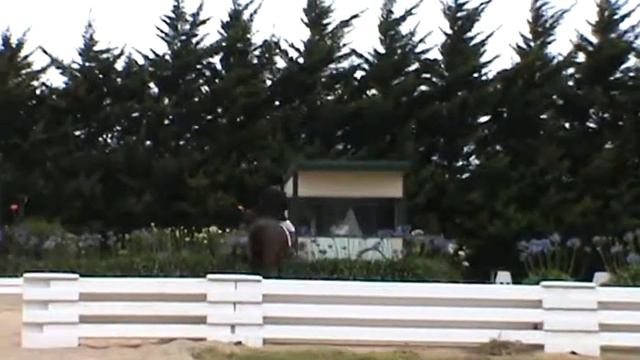 Kaye Hannan Para Equestrian Gd IV, Individual Test Werribee ,10122011 смотреть онлайн