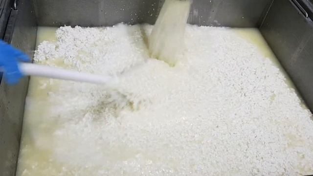 Приготовление брынзы смотреть онлайн