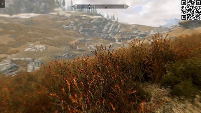 Skyrim Legendary Survival Mode Run as Argonian Pt. 43 смотреть онлайн