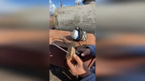 Парализатор для забоя свиньи! Своими руками! Забой током!