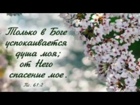 Манит сердце мечтою смотреть онлайн