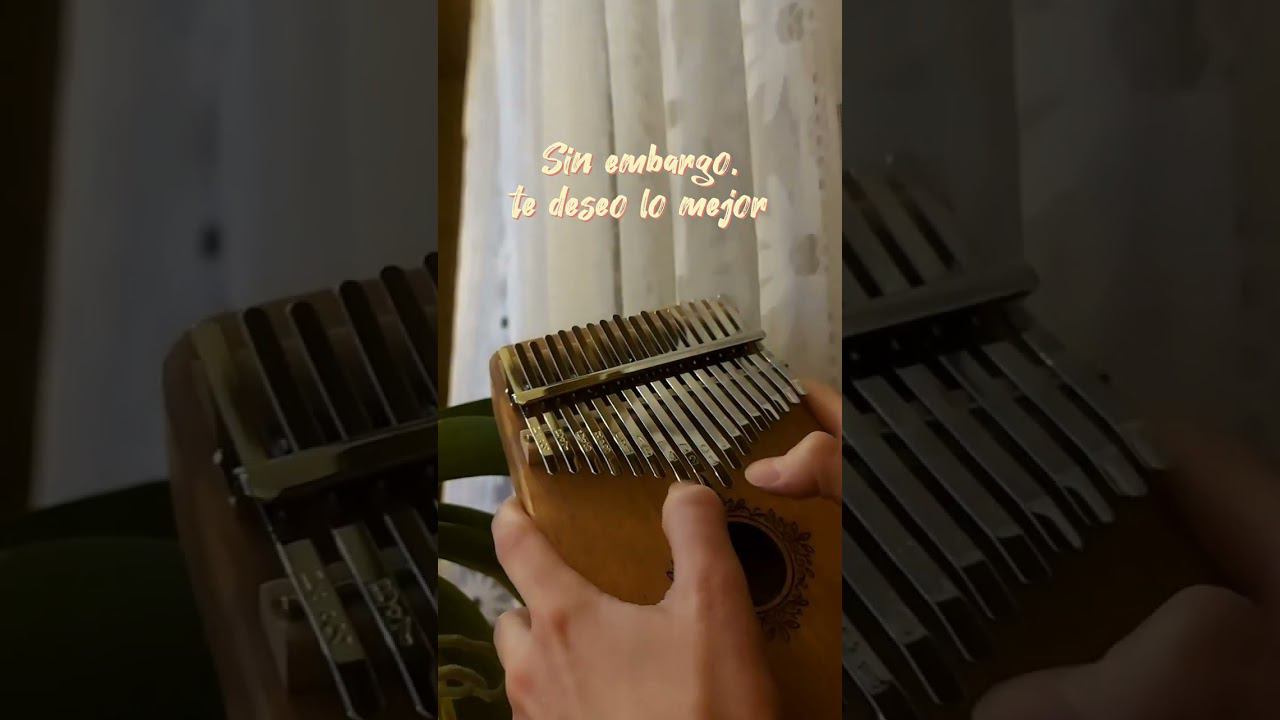 Selena - Como la flor (kalimba cover)