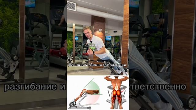 Для чего делать экстензию? Какие мышцы работают? смотреть онлайн