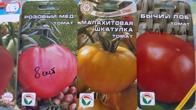 Какими семенами  я пользуюсь,и кто их производитель? Ответ на вопросы.