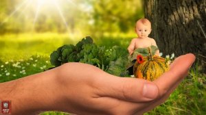 Молитвы о детях     Канон за болящего  Песнь 1