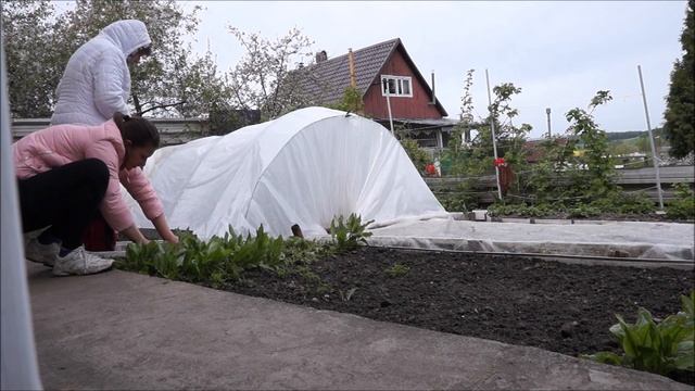 ВЛОГ ДНЕВНИК ХУДЕЮЩЕЙ на удаленке! Диета Протасова! Дача) смотреть онлайн