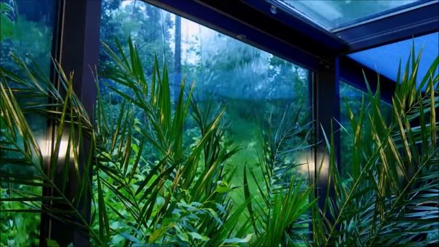 Расслабляющая музыка с дождем смотреть онлайн