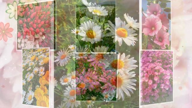 Весенний привет от меня!.. Spring hello from me! смотреть онлайн