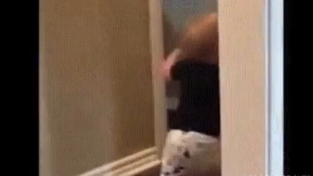 Когда пытаешься пораньше сбежать с работы и случайно встречаешь шефа) смотреть онлайн