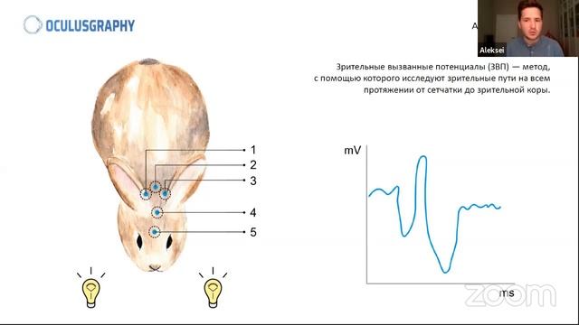 Проверка лекарств | Порядок исследования на животных | ML-обработка биомедицинских сигналов смотреть онлайн