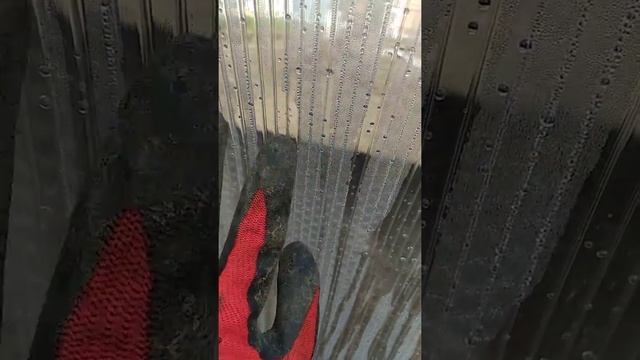 Посадка лука на зелень в теплице смотреть онлайн