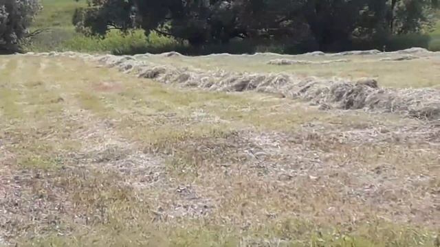 Готовим сено на зиму. смотреть онлайн