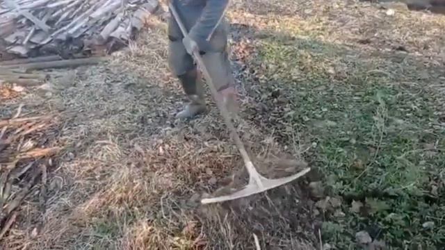 Посадка живой изгороди из туи. смотреть онлайн