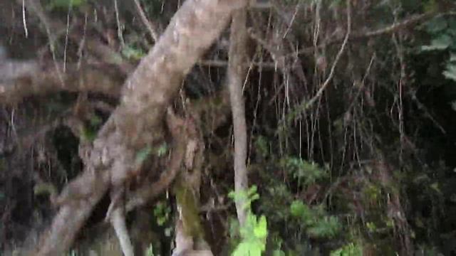 Bath of Aphrodite, Cyprus смотреть онлайн