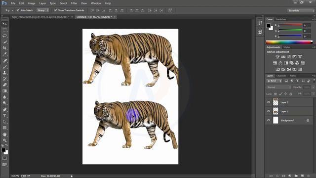 Graphic Design Bangla Tutorial || Episode -02 by Rainbow Academy смотреть онлайн